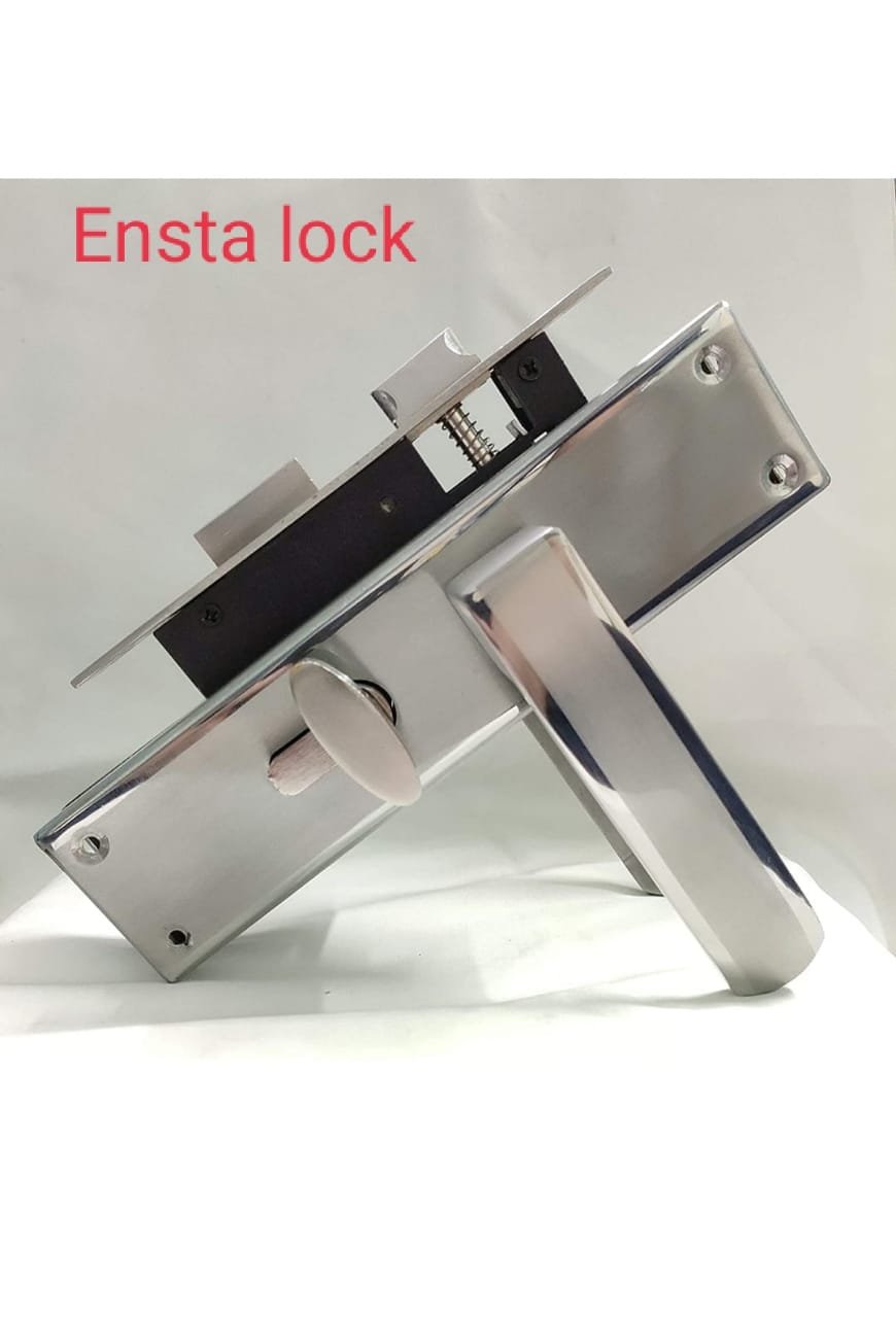 SS Body Mortice Locks